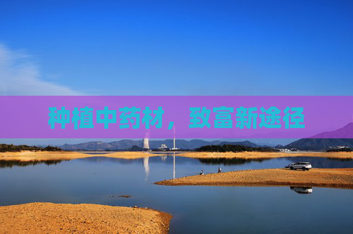 种植中药材,致富新途径 种植中药材,致富新途径