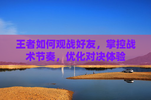 王者如何观战好友，掌控战术节奏，优化对决体验