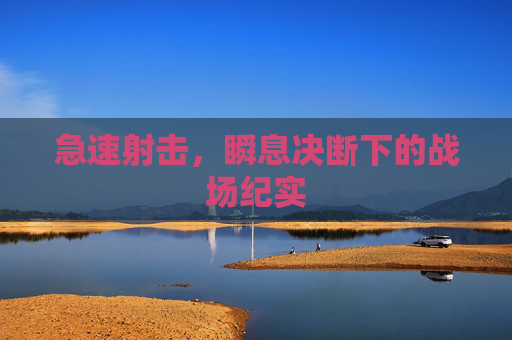 急速射击，瞬息决断下的战场纪实