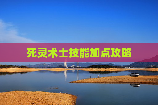 死灵术士技能加点攻略 死灵术士技能加点攻略
