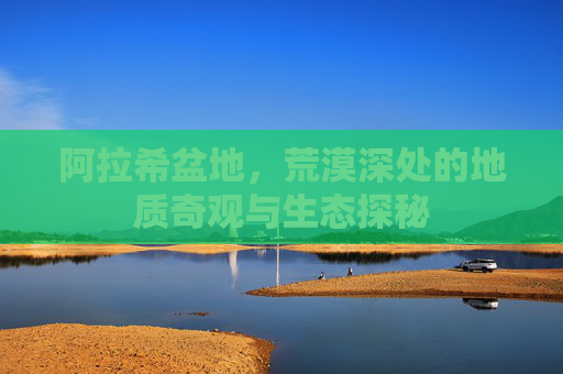 阿拉希盆地，荒漠深处的地质奇观与生态探秘