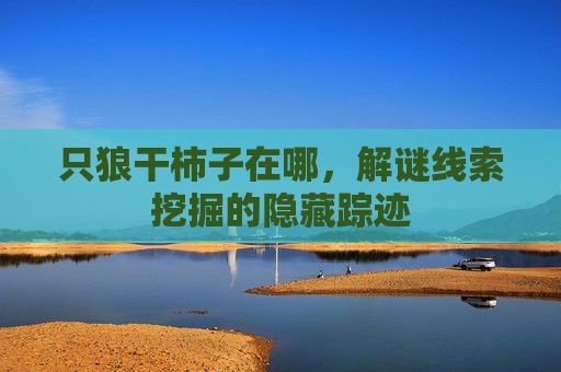只狼干柿子在哪，解谜线索挖掘的隐藏踪迹