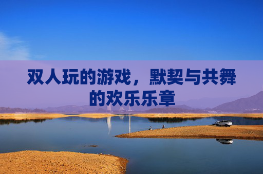 双人玩的游戏，默契与共舞的欢乐乐章