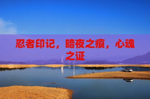 忍者印记，暗夜之痕，心魂之证