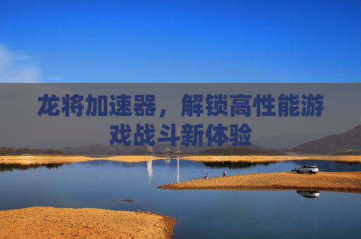 龙将加速器,解锁高性能游戏战斗新体验 龙将加速器,解锁高性能游戏战斗新体验
