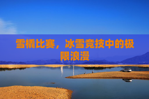 雪橇比赛，冰雪竞技中的极限浪漫
