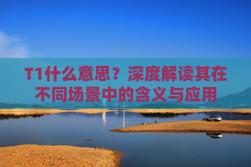 T1什么意思？深度解读其在不同场景中的含义与应用