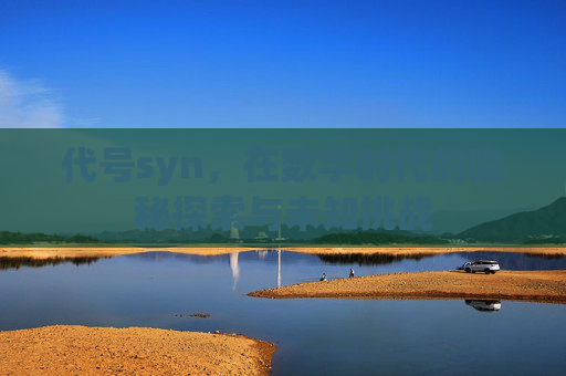 代号syn,在数字时代的隐秘探索与未知挑战 代号syn,在数字时代的隐秘探索与未知挑战