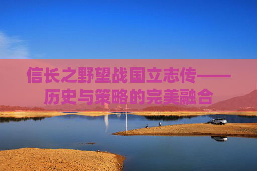 信长之野望战国立志传——历史与策略的完美融合