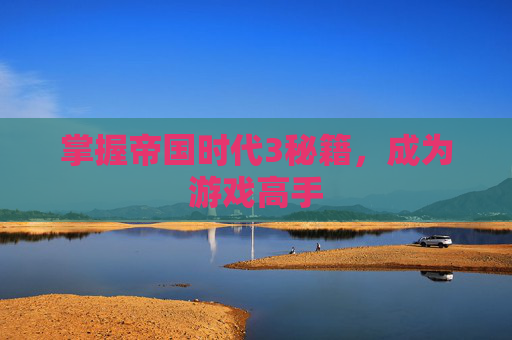 掌握帝国时代3秘籍,成为游戏高手 掌握帝国时代3秘籍,成为游戏高手