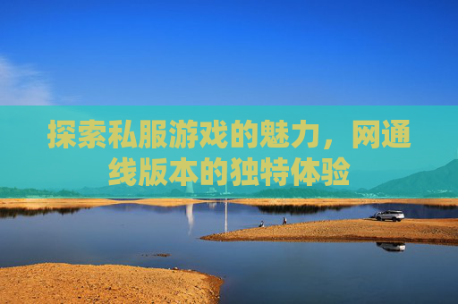 探索私服游戏的魅力,网通线版本的独特体验 探索私服游戏的魅力,网通线版本的独特体验