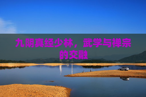 九阴真经少林,武学与禅宗的交融 九阴真经少林,武学与禅宗的交融