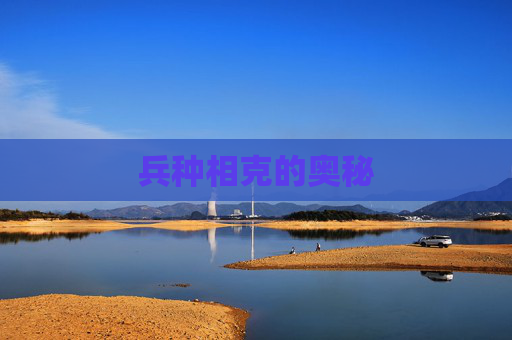 兵种相克的奥秘 兵种相克的奥秘