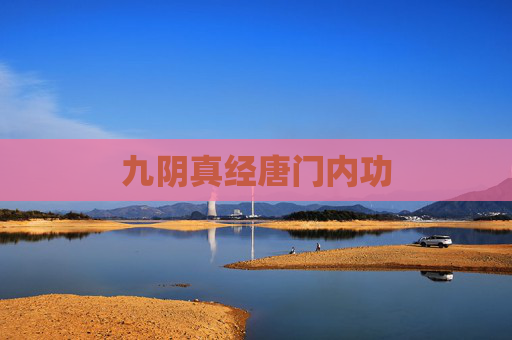 九阴真经唐门内功