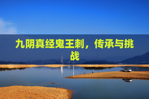 九阴真经鬼王刺，传承与挑战