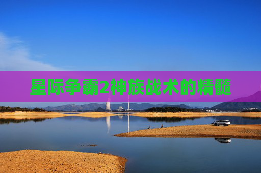 星际争霸2神族战术的精髓