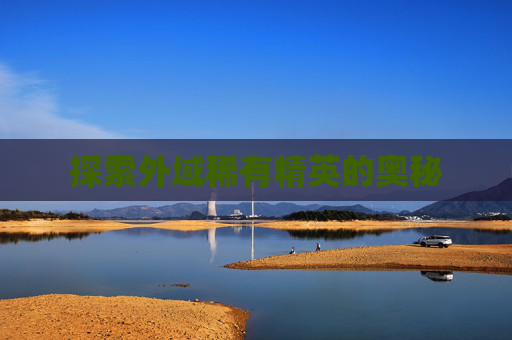 探索外域稀有精英的奥秘