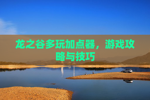 龙之谷多玩加点器，游戏攻略与技巧