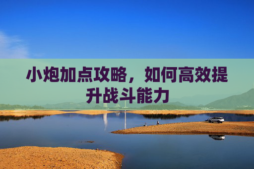 小炮加点攻略,如何高效提升战斗能力 小炮加点攻略,如何高效提升战斗能力