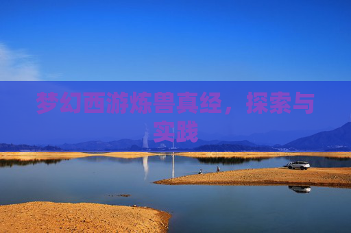 梦幻西游炼兽真经,探索与实践 梦幻西游炼兽真经,探索与实践