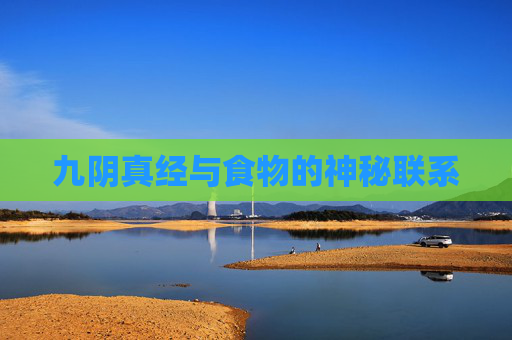 九阴真经与食物的神秘联系