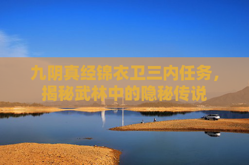 九阴真经锦衣卫三内任务，揭秘武林中的隐秘传说