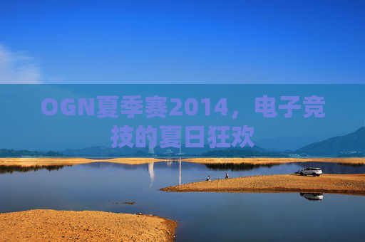 OGN夏季赛2014,电子竞技的夏日狂欢 OGN夏季赛2014,电子竞技的夏日狂欢