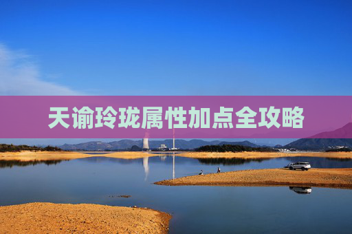 天谕玲珑属性加点全攻略 天谕玲珑属性加点全攻略