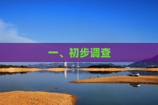 一、初步调查