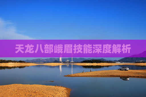 天龙八部峨眉技能深度解析 天龙八部峨眉技能深度解析