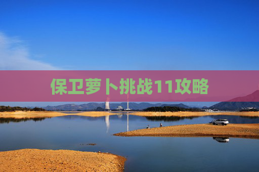 保卫萝卜挑战11攻略 保卫萝卜挑战11攻略