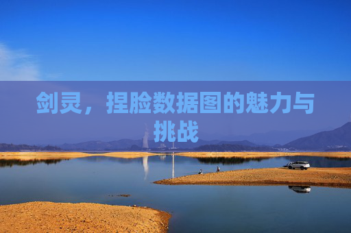 剑灵，捏脸数据图的魅力与挑战