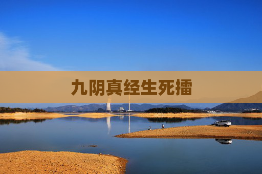 九阴真经生死擂 九阴真经生死擂