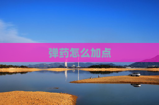 弹药怎么加点 弹药怎么加点