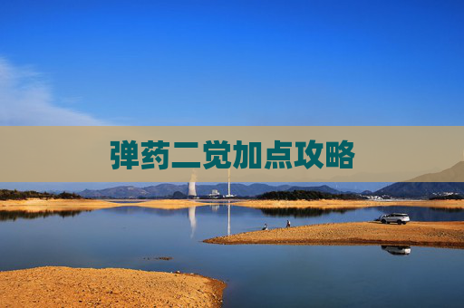 弹药二觉加点攻略