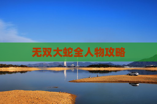无双大蛇全人物攻略 无双大蛇全人物攻略