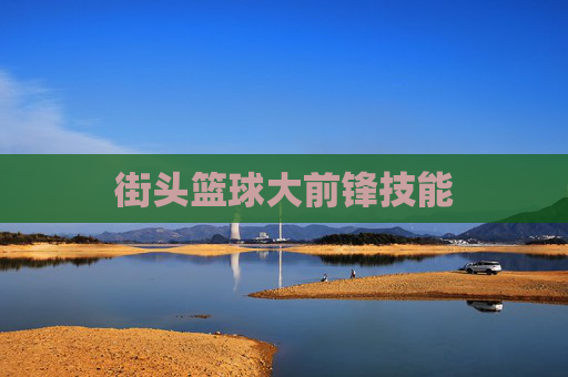 街头篮球大前锋技能