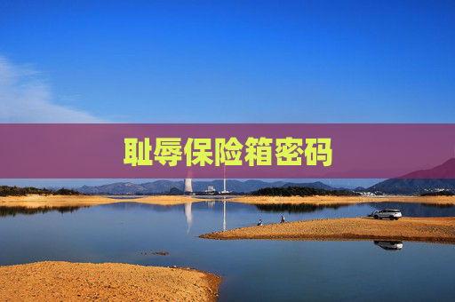 耻辱保险箱密码 耻辱保险箱密码