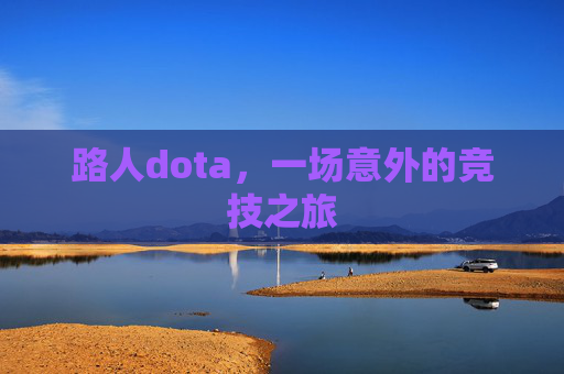 路人dota，一场意外的竞技之旅