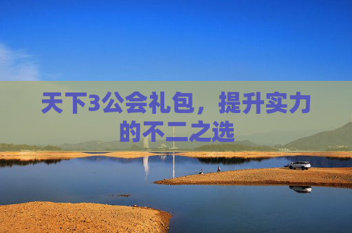天下3公会礼包,提升实力的不二之选 天下3公会礼包,提升实力的不二之选