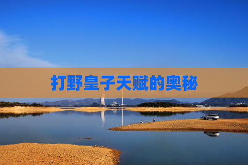 打野皇子天赋的奥秘 打野皇子天赋的奥秘