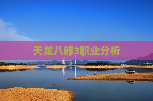 天龙八部3职业分析 天龙八部3职业分析