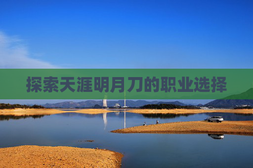 探索天涯明月刀的职业选择 探索天涯明月刀的职业选择