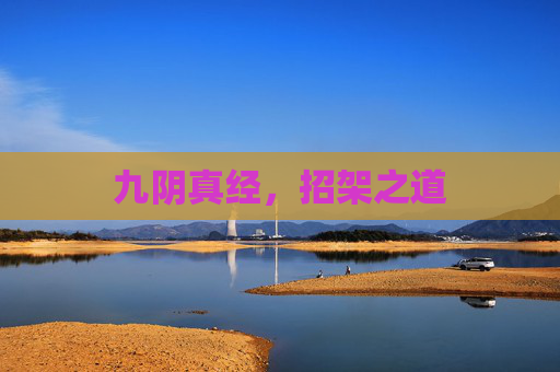 九阴真经，招架之道