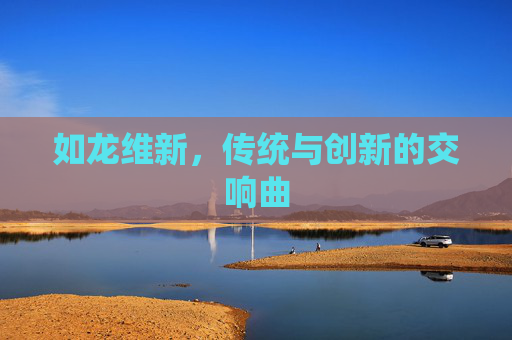 如龙维新，传统与创新的交响曲