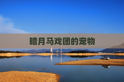 暗月马戏团的宠物 暗月马戏团的宠物