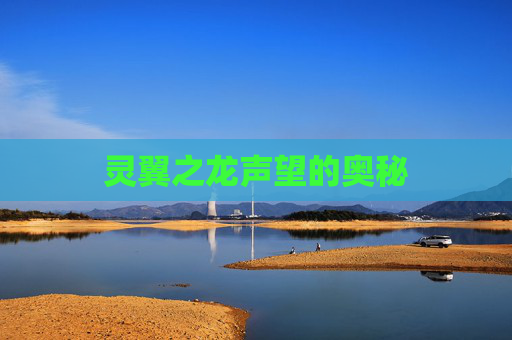 灵翼之龙声望的奥秘