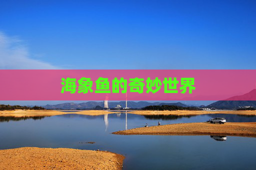 海象鱼的奇妙世界 海象鱼的奇妙世界