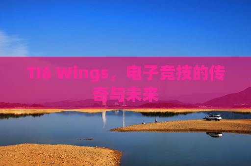 TI6 Wings,电子竞技的传奇与未来 TI6 Wings,电子竞技的传奇与未来