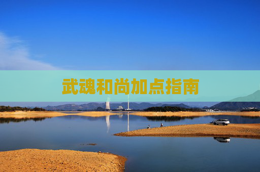 武魂和尚加点指南 武魂和尚加点指南